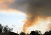 Причиной 12 палов сухой растительности в Приамурье стали игры детей с огнём